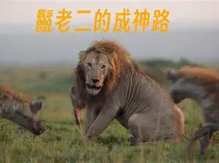 开云体育 -u餓efrcvdzsqaszzzz